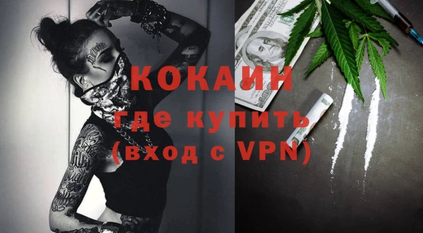дмт Ладушкин
